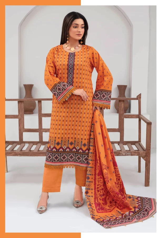 3 PC Digital Printed  Khaddar